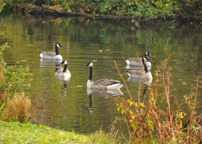 Hôtels à Itteville