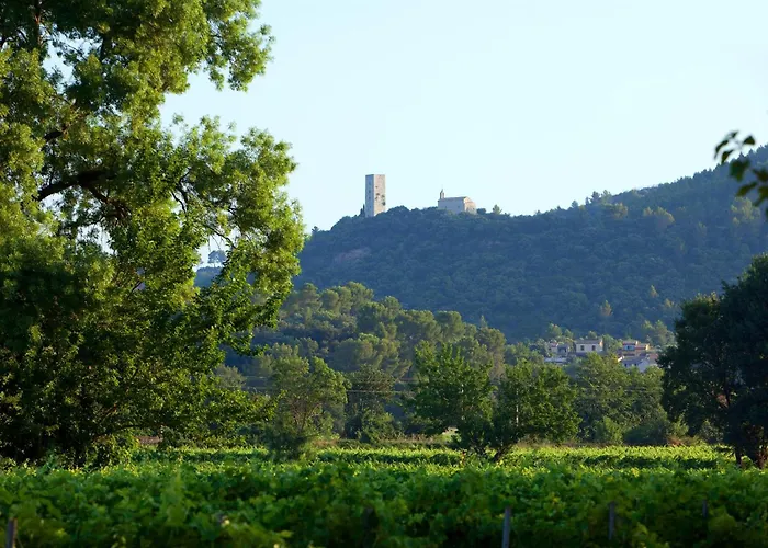 Chateau De Saint Martin Taradeau