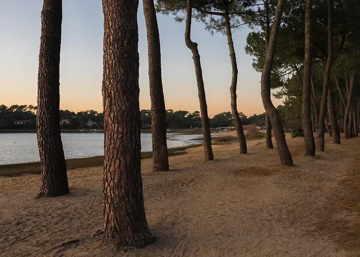 Résidence Hôtelière les Acanthes Soorts-Hossegor
