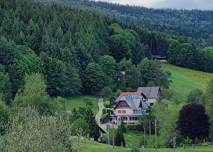 Hôtels à Le Hohwald