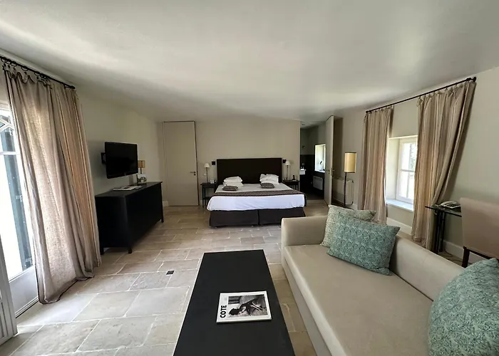 Le Mas De Peint - Hotel Et Restaurant Arles