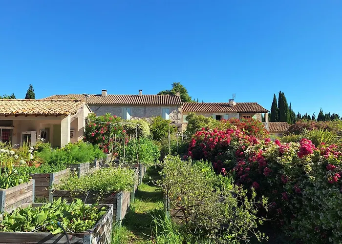 Mas Des Figues: Provençal Farmhouse with Pool and Organic Cuisine Saint-Remy-de-Provence