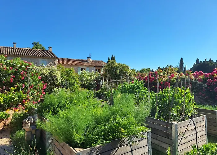 Mas Des Figues: Provençal Farmhouse with Pool and Organic Cuisine Saint-Remy-de-Provence