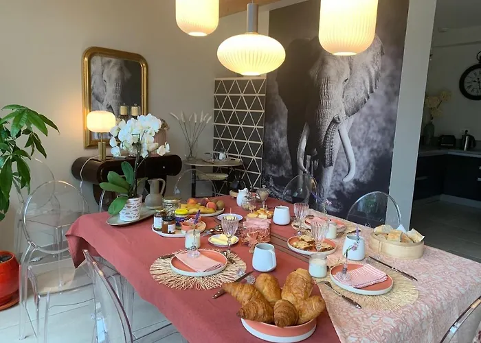 Maison D'Hotes " L'Instant D'Ailleurs" Albi