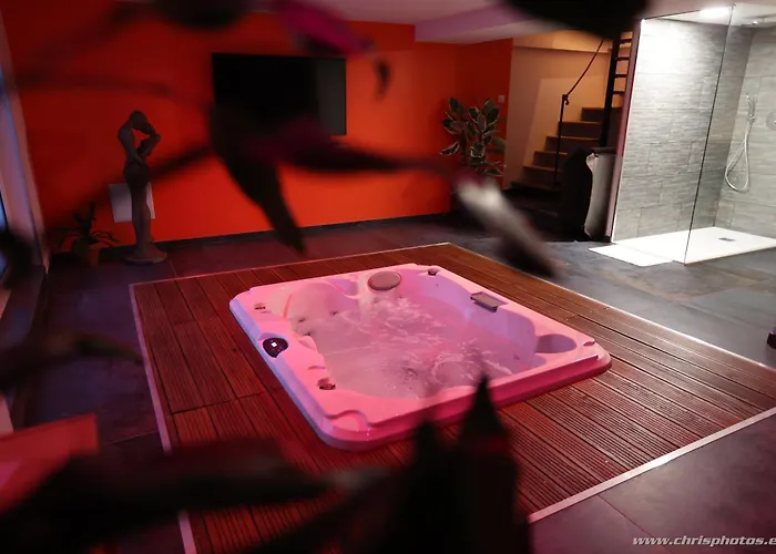 Ds Plaisir Love Room Avec Sauna, Jacuzzi A Nancy