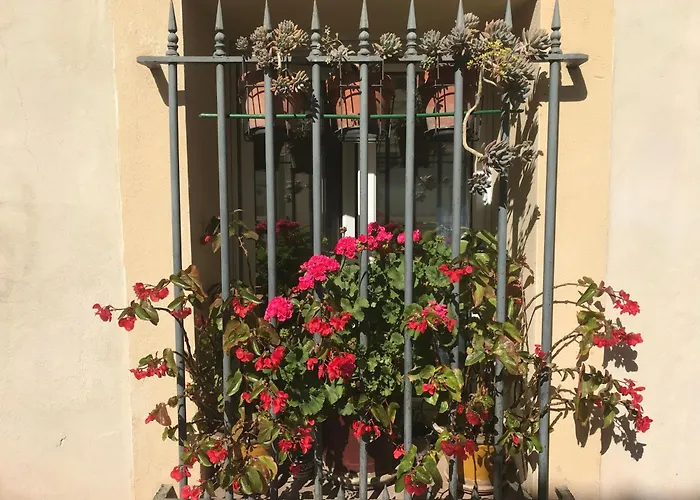 Simone'S Houses Montpellier