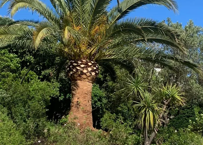 Paradis Provencal Sainte-Maxime
