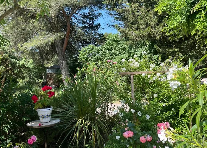 Hotel Le mazet en été en garrigue nimoise et parking à Nîmes