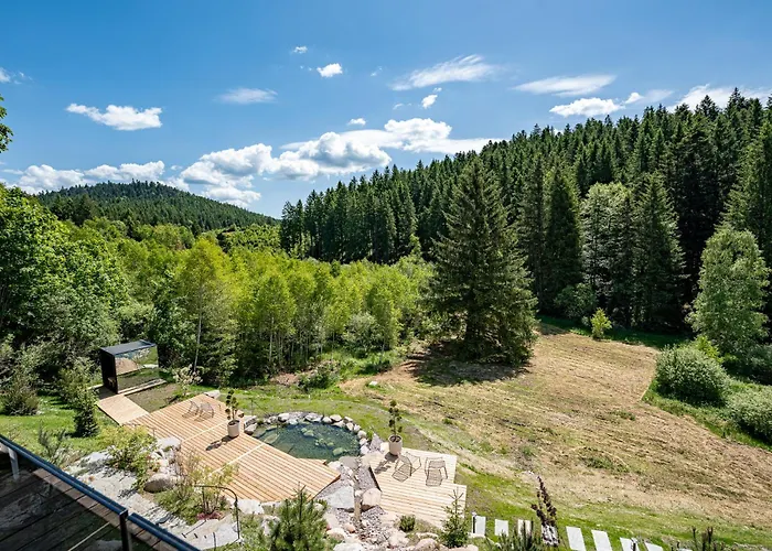 Domaine Les Terres Bleues Hotel Xonrupt-Longemer