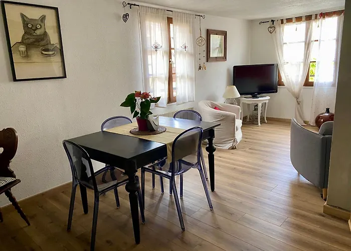 Gîte de caractère au calme , proche quartier historique, Au Merlenchanteur Schiltigheim