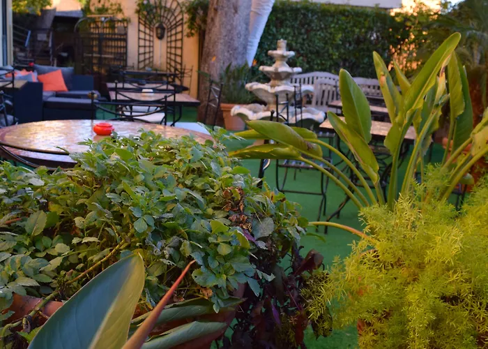 Pet Friendly Hotels near Saint Roch SNCF in Nice