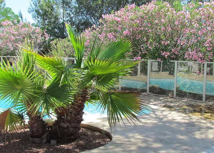 Saint-Clement-de-Riviere Hotels