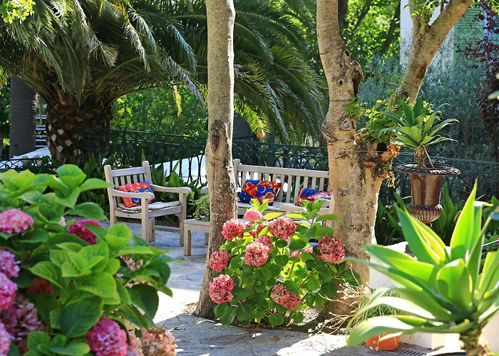 Brando Hotels