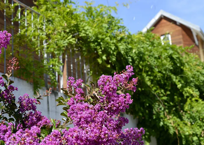 Logis Hotel Victor Hugo & Spa Besançon