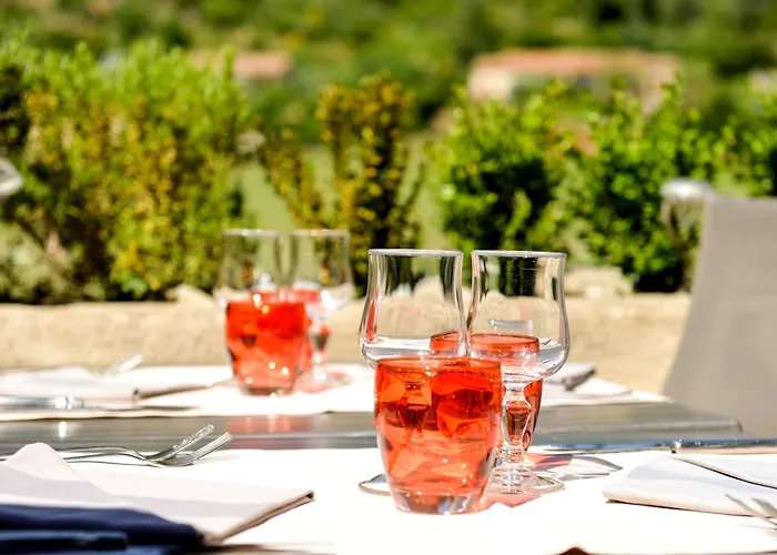 Logis Hôtel Restaurant des Corbières Lagrasse