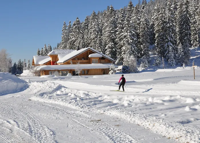 Chalet Hotel Vaccapark Mieussy