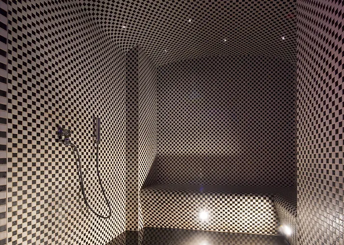 Platine Hotel Paris
