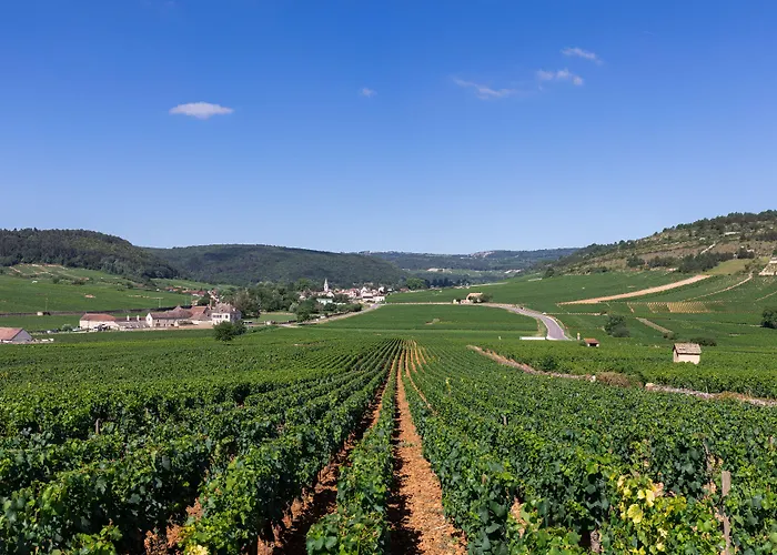 Hotel Les Hauts De Meursault