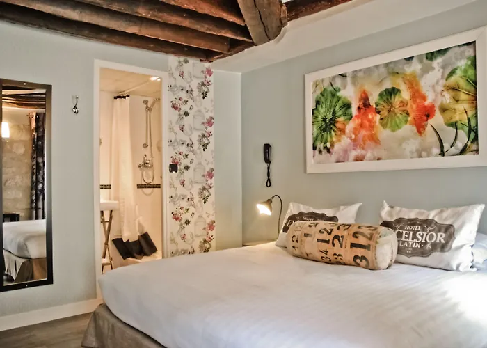 Hotel Grand Coeur Latin Paris