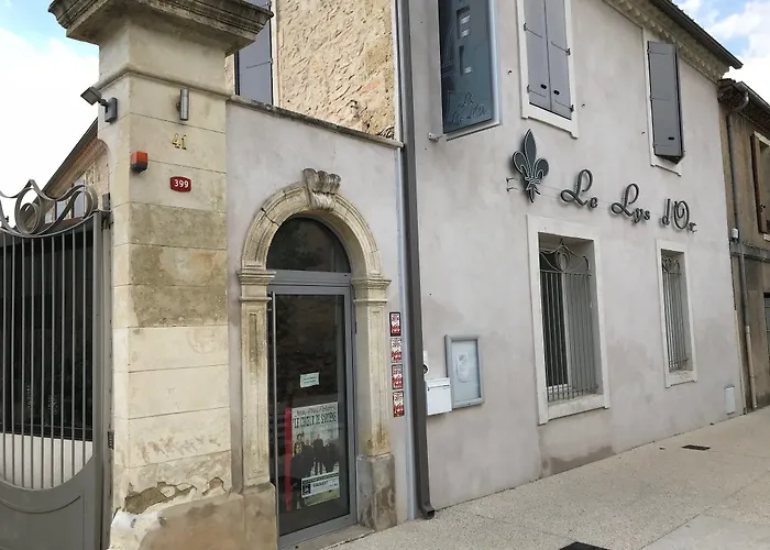 Hotel Le Lys D'or à Vauvert