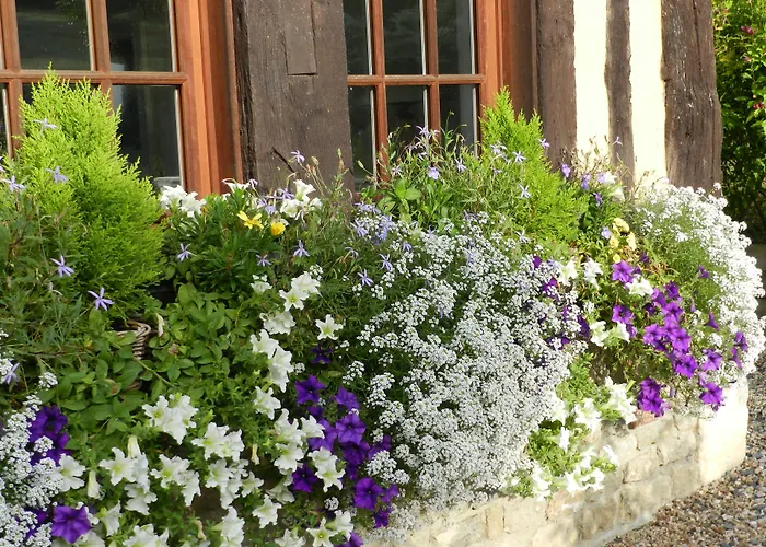 Bed and Breakfast Le Pressoir à Beuvron-en-Auge