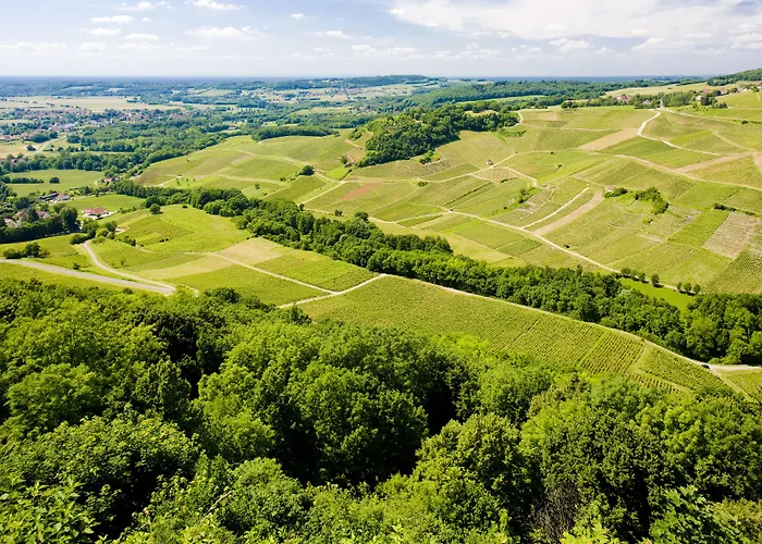 Maison d'hôtes&SPA La Scierie Salins-les-Bains