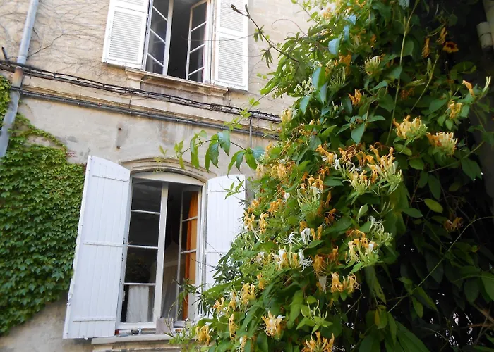 Hotel Cocooning Avignon