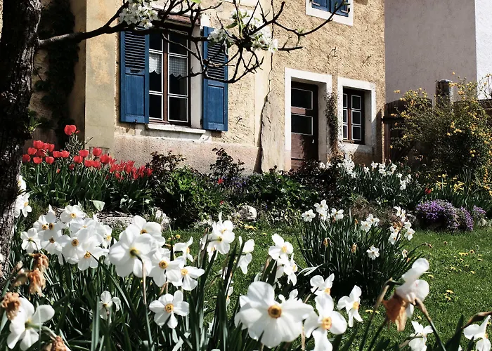 La Foyere Bed and Breakfast La Plagne