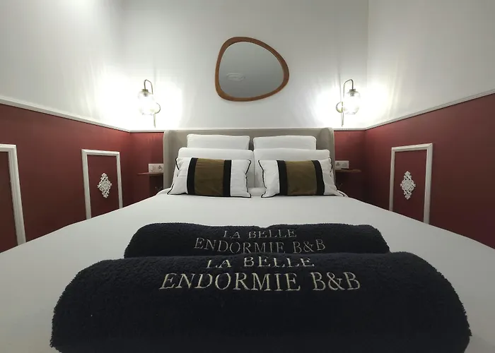 La Belle Endormie B&B French Guest House Bordeaux