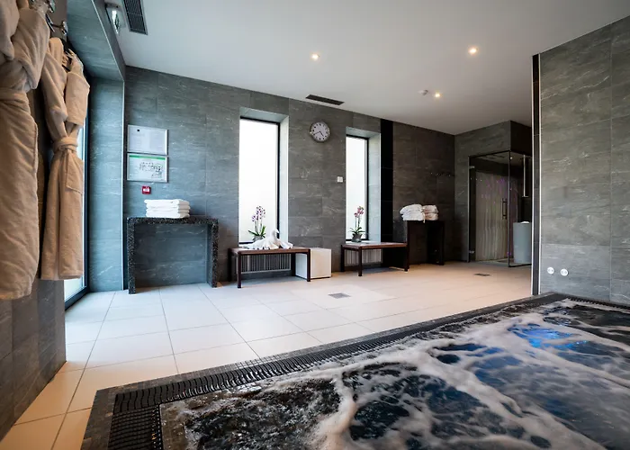 Fac&Spera -Hôtel&Spa Tain-lʼHermitage