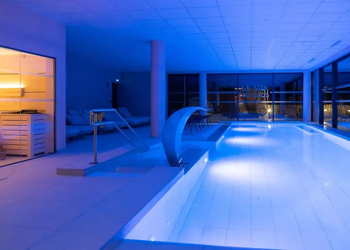 Best Western Premier Clos Syrah Hotel&Spa Valence 