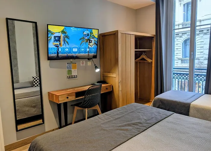 H33 Hôtel Nice aceita animais de estimação