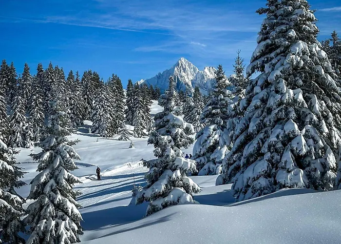 Chalet Les Frenes Chamonix privado