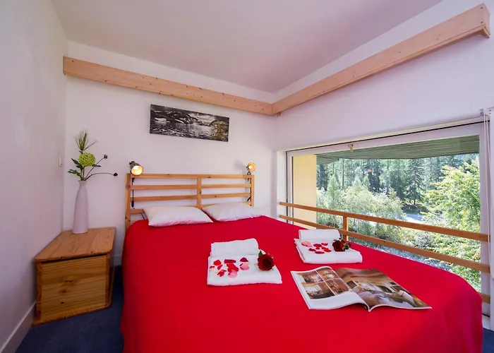 Résidence Grand Roc - Campanules 112 - Happy Rentals Chamonix