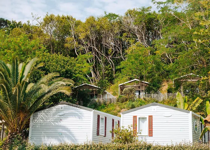 Camping Erreka Bidart admite animales
