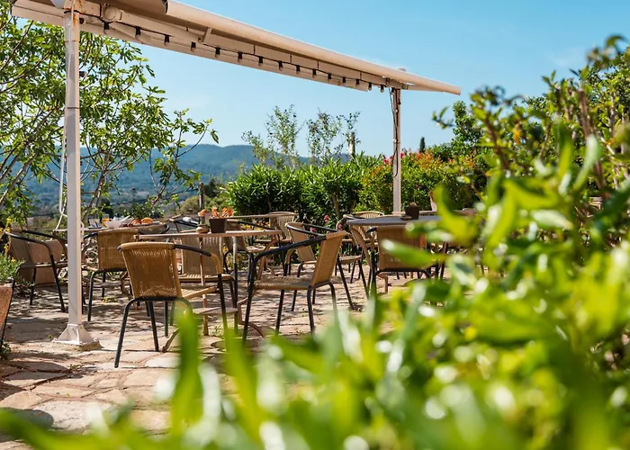 Hôtel Paradis Bormes-les-Mimosas