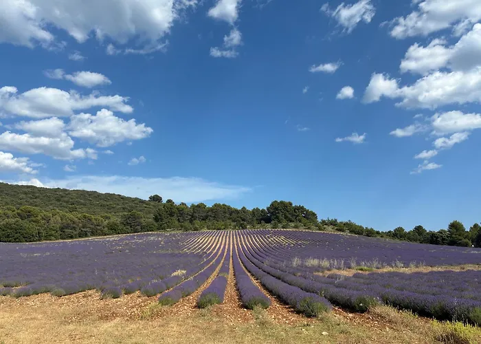 Hôtels à Saint-Laurent-du-Verdon