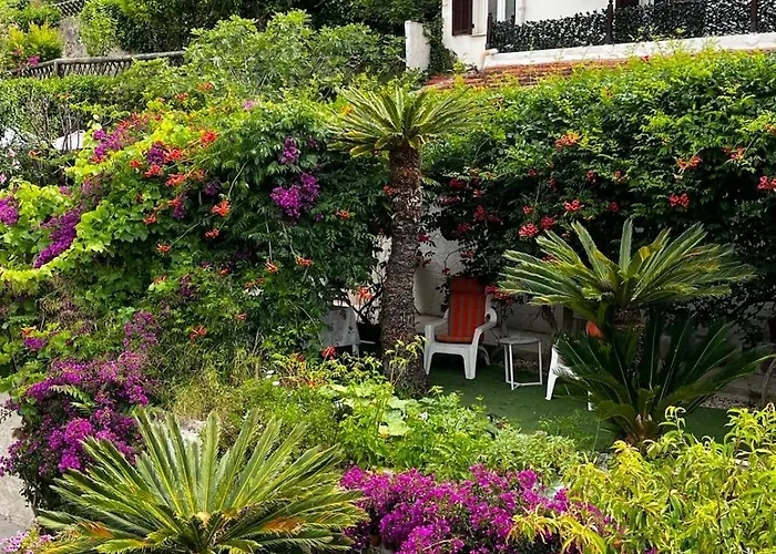 Villa Bellabe Nice
