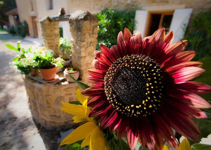 Bed and Breakfast La Ferme Du Midi à Piolenc
