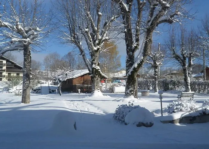 Hôtel Le Bellevue Thollon-les-Mémises