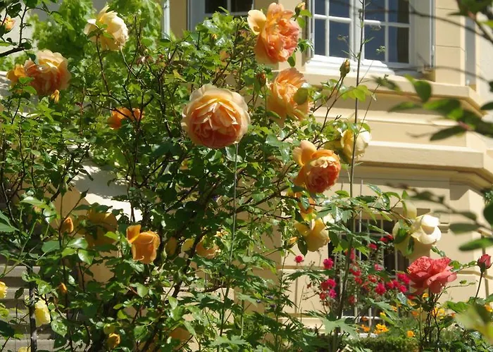 Villa Roassieux Saint-Etienne 