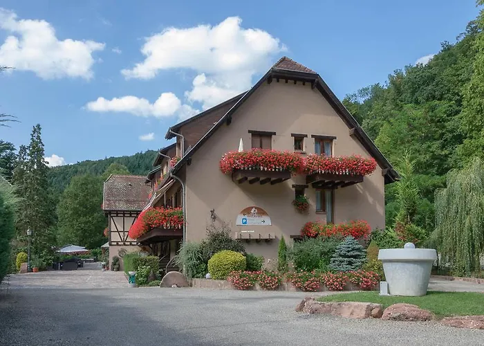 Hotel Domaine Le Moulin à Ottrott