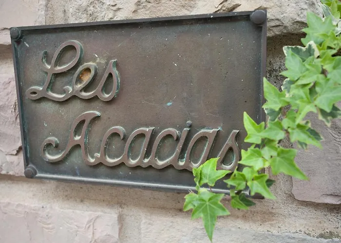 Hotel Les Acacias Le Grau-du-Roi