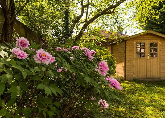Carpe Diem Bed&Breakfast Sélestat