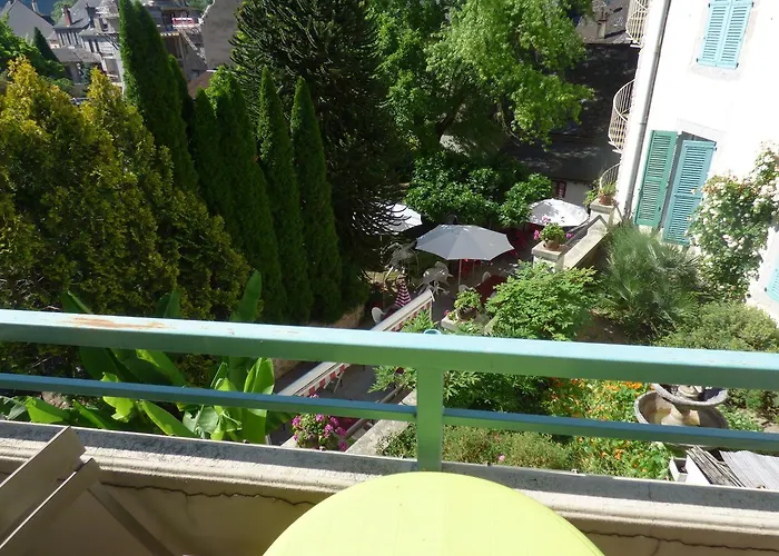 Hôtel du Lion d'Or Entraygues-sur-Truyère