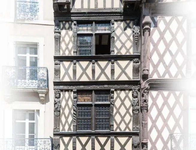 Villa L'Oisellerie Meublé de Tourisme Angers