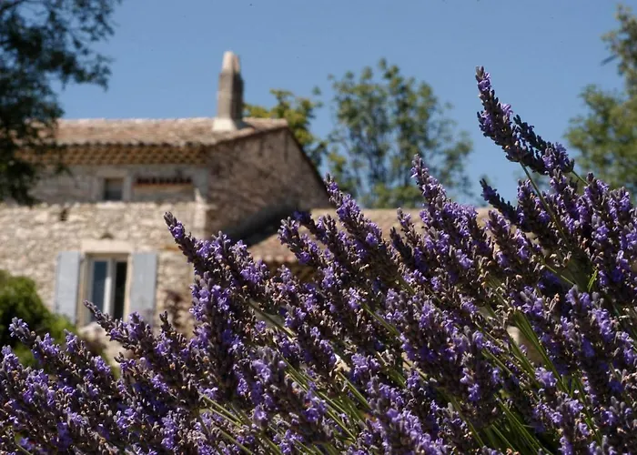 La Vivande Marsanne