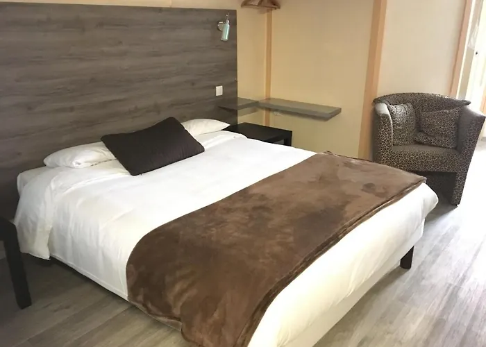 Aix Hotel Aix-en-Provence admite animales