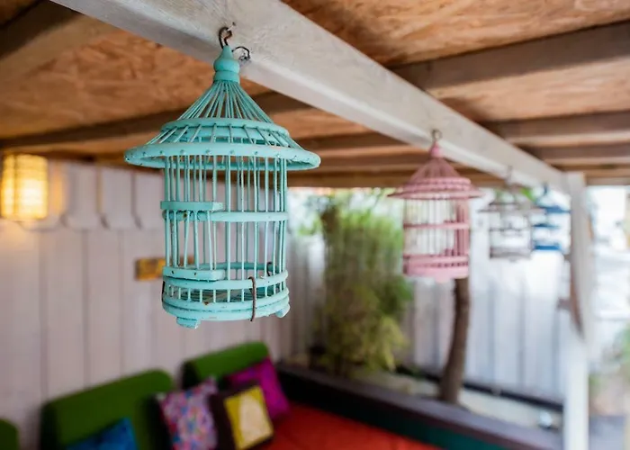 Villa Zenith Hostel - La Maison Lacanau