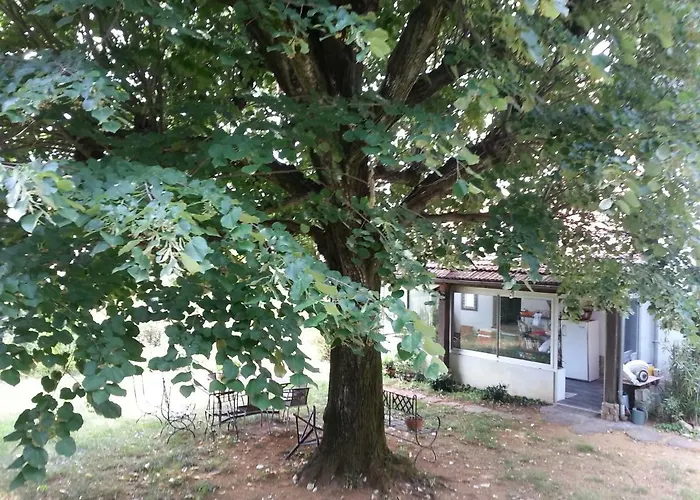 Belle Chambre Dans Maison Atypique Joyeuse